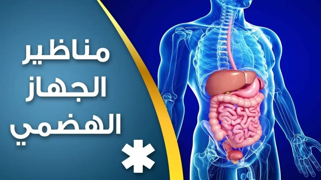 مناظير الجهاز الهضمي